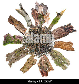 Dead wooden forest sun or flower  from dry branches and tree bark. Isolated abstract concept collage Stock Photo