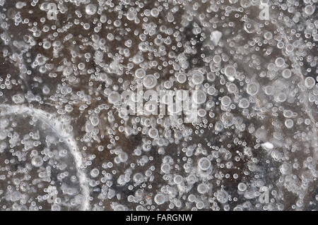 Air bubbles captured in ice. Ice Texture Stock Photo