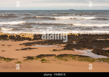 A scenic view of the north east coast of England at the headland at Hartlepool with ship on horizon and seaweed on the beach Stock Photo