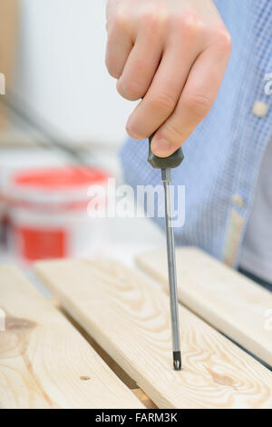 Pleasant man holding screwdriver Stock Photo