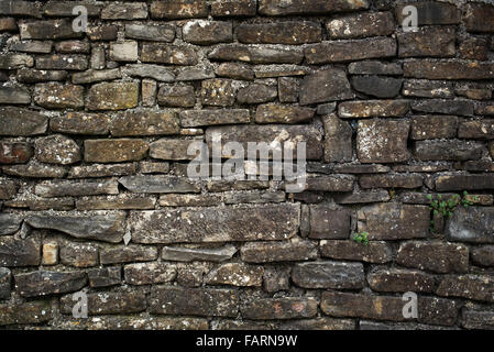 Background texture of stone wall close up. Stock Photo