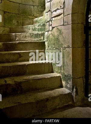 OLD WARDOUR CASTLE, Wiltshire. Detail of spiral staircase. Stock Photo