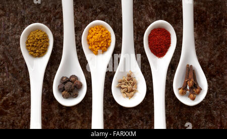 Five white spoons with assorted spices on a dark background Stock Photo