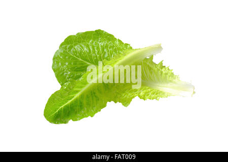 two romaine lettuce leaves isolated on white Stock Photo