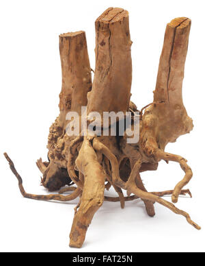 Bog wood over white background Stock Photo