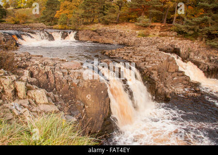 A view of the waterfalls on the River Tees at Low Force,Teesdale,Co.Durham with the trees in their autumn colours Stock Photo