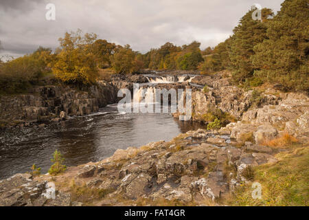 A view of the waterfalls on the River Tees at Low Force,Teesdale,Co.Durham with the trees in their autumn colours Stock Photo