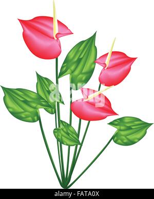Beautiful Flower, An Illustration Heart Shaped Spathe of Blooming Red Anthurium Flowers or Flamingo Flower on Green Leaves Isola Stock Vector