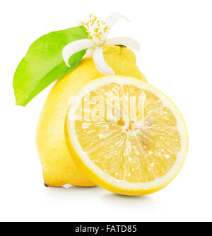 lemons with lemon flowers isolated on the white background. Stock Photo