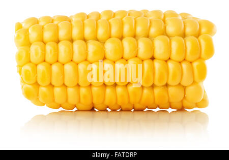 fresh corn isolated on the white background. Stock Photo