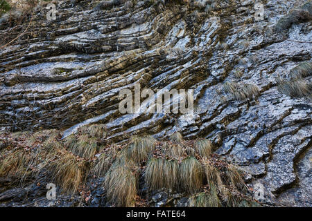 Closeup of a sedimentary mountain limestone rocks, with selective focus Stock Photo