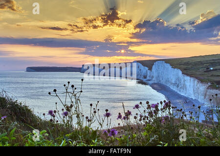 Landscape photograph of Birling Gap at sunset with Greater Knapweed Stock Photo