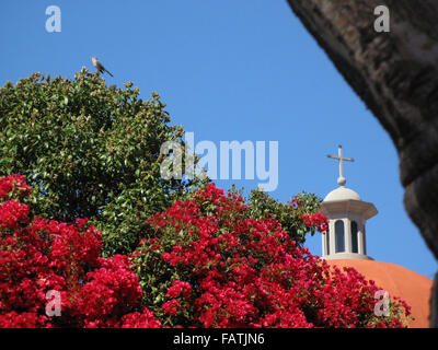 Mission San Juan Capistrano California Stock Photo