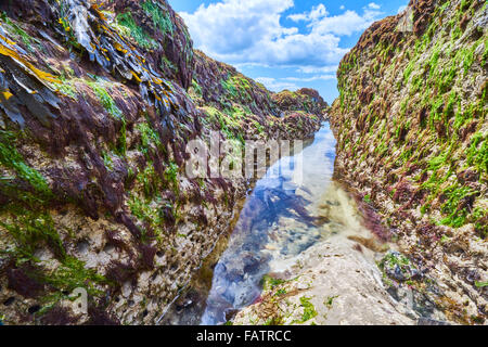 The Wave Cut Platform on the Sussex Coast in the Brighton to Newhaven Cliffs SSSI Stock Photo