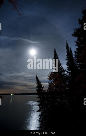 Alcona, MI, USA. 14th Aug, 2013. Pine trees are silhouetted against a moonlit sky on Alcona Pond. A halo can be seen around the moon and the two tiny points of light on the left horizon are lights shining from Alcona Dam. Alcona is the second of 6 ponds, created by hydroelectric dams along the 120-mile river on the way from Grayling to Oscoda. © Mark Bialek/ZUMA Wire/Alamy Live News Stock Photo