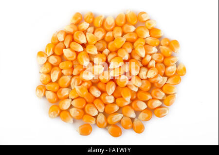 dried corn seeds  isolated on white background Stock Photo