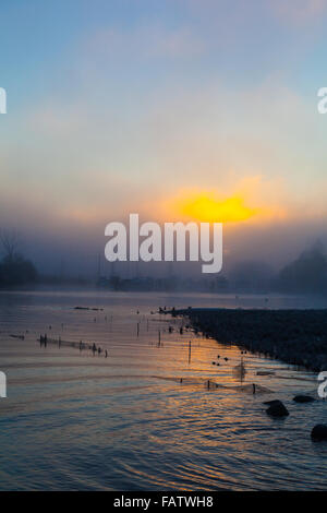 Sun rising over a fog bank on the Fraser River in winter Stock Photo