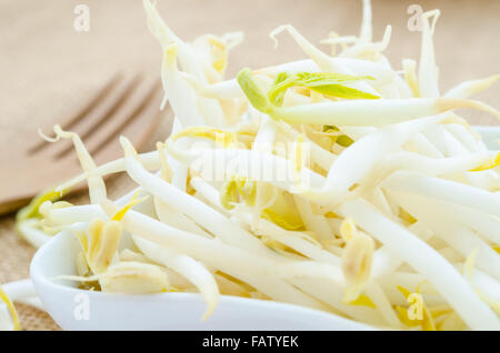 Mung bean sprouts in white cup on sack background. Stock Photo