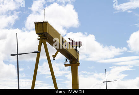 Harland and Wolff's iconic cranes Samson (tallest) and Goliath were built by Krupp and are a famous sight on the city skyline. Stock Photo