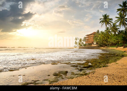 House between palm trees on a beach of the ocean Stock Photo