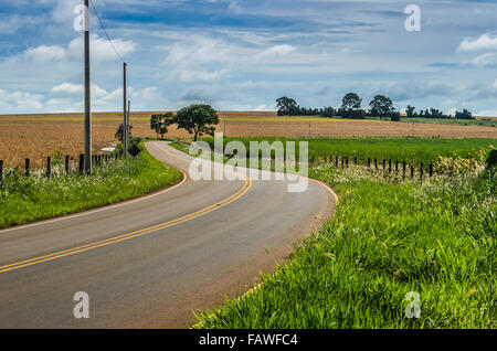 a brazilian countryside road under a blue sky Stock Photo - Alamy