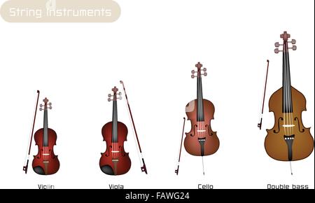 An Illustration Collection of Beautiful Musical Instrument String, Violin, Viola, Cello and Double Bass with Bows Isolated on Wh Stock Vector