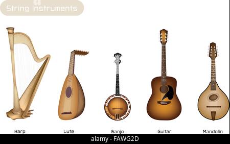 Different Kind of Beautiful Antique Musical Instrument Strings, Bluegrass Mandolin, Banjo and Lute on Beautiful Vintage Brown St Stock Vector