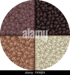 Coffee Time, An Illustration Four Colors of Beautiful Roasted Coffee Beans, Dark Brown, Brown, Light Brown and Green in Circle S Stock Vector