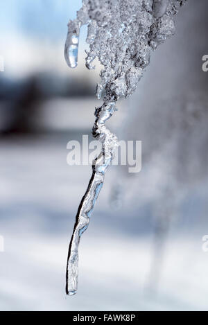 Icicle. Stock Photo