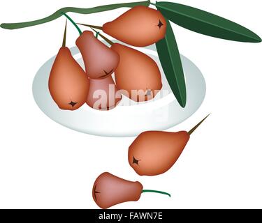 Fresh Fruits, Red Water Apple or Rose Apple With Green Leaves on A Beautiful white Dish Isolated on White Background Stock Vector