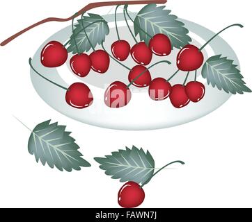 Fresh Fruits, An Illustration of Fresh Red and Sweet Cherries With Stem and Green Leaves on A Beautiful white Dish Stock Vector