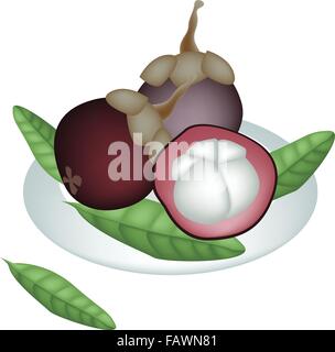 Fresh Fruits, An Illustration of Fresh Ripe Mangosteen with Green Leaves on A Beautiful white Dish Stock Vector