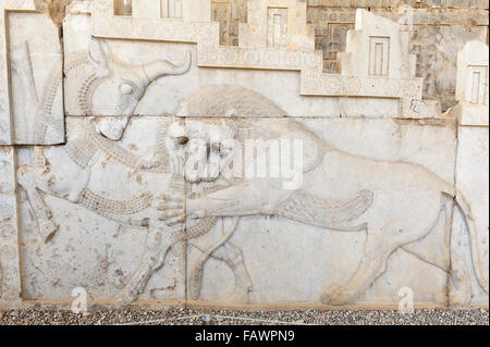 Ancient relief of the Achaemenids, Leo begins Taurus, Apadana Palace, archaeological site, ancient Persian city Persepolis Stock Photo