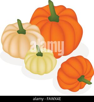 Various Size of Fresh Pumpkins Isolated on A White Background, Pumpkin Is One of Vitamin Nutrients to Improve Nutrient Intake an Stock Vector