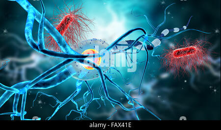 Nerve cells, concept for Neurologic Diseases, tumors and brain surgery. Stock Photo