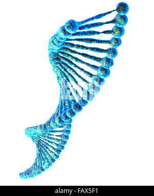 High resolution 3d render of human dna string Stock Photo