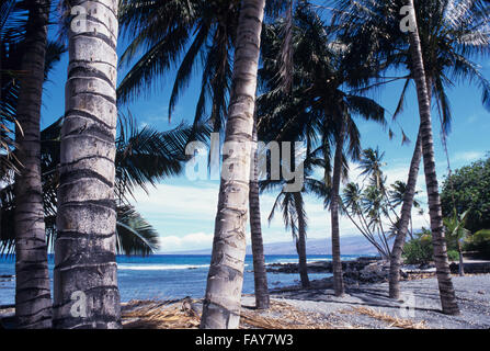 Big Island, Hawaii, Mauna Lani coastline, South Kohala Stock Photo