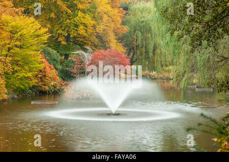 fountain on a pond surrounded by colorful autumn trees Stock Photo