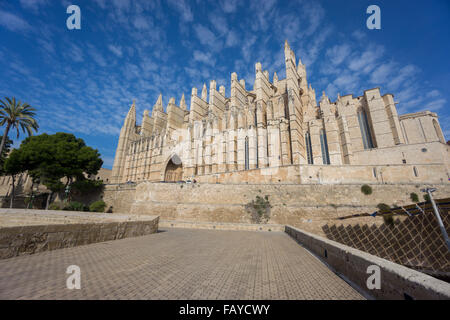 Cathedral of Palma de Majorca, wide angle Stock Photo