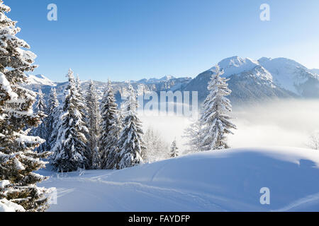 Winter view of snow covered trees and mountains from Les Gets in the Portes du Soleil ski area, France. Stock Photo