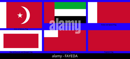 The flag of United Arab Emirates Sub national in Western Asia Stock Photo