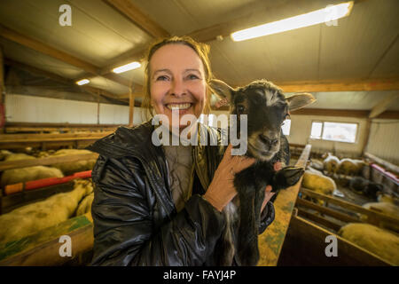 Woman holding a young lamb, Iceland Stock Photo