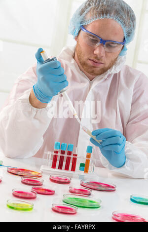 Scientists working with various samples Stock Photo