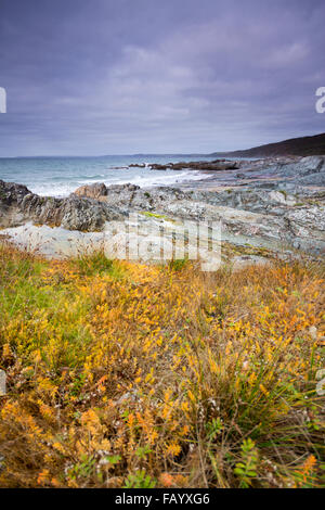 Twilight approaches over Polhawn Beach Whitsand Bay Cornwall UK Stock Photo