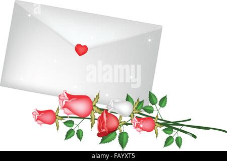 Love Concept, Beautiful Rose with A Valentine Letter or Envelopes For Valentine Day Celebration Isolated on White Background. Stock Vector