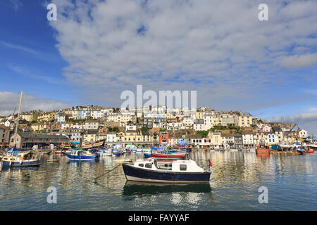 Boats moored in Brixham Harbour, Brixham, Devon, on a glorious summer's day; the town rises in the background Stock Photo