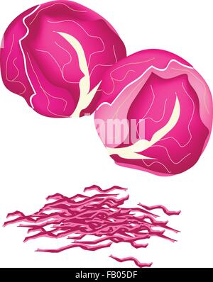 Vegetable, Vector Illustration of Delicious Fresh Purple Cabbage with Julienne Purple Cabbage Isolated on White Background. Stock Vector