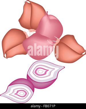 Vegetable and Herb, Vector Illustration Stack of Shallots, Spanish Onions, or Red Onions Used for Seasoning in Cooking. Stock Vector