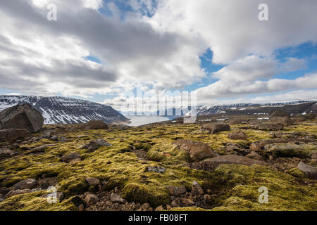 Scenic view of stone and moss landscape from above a Fjord in Iceland. Stock Photo