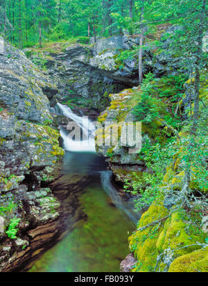 waterfall spilling into a narrow gorge on the upper jocko river near arlee, montana Stock Photo